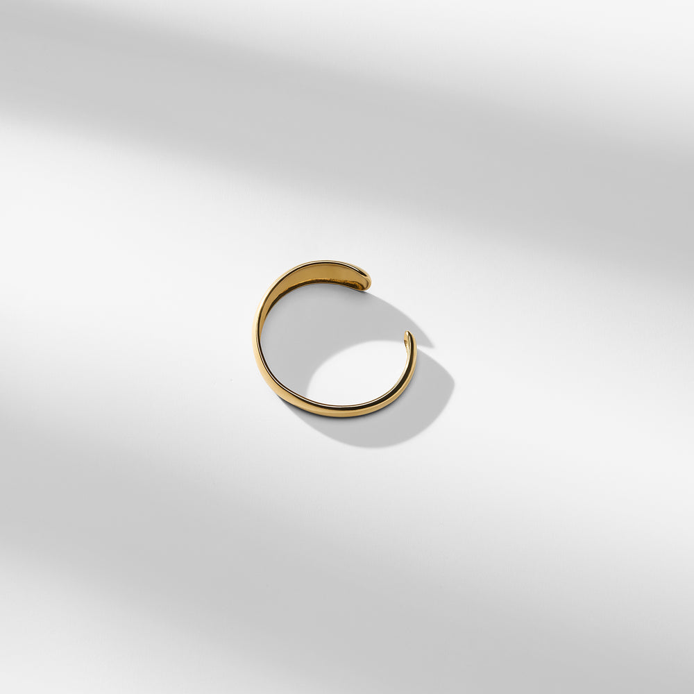packshot image of the liza bangle in gold