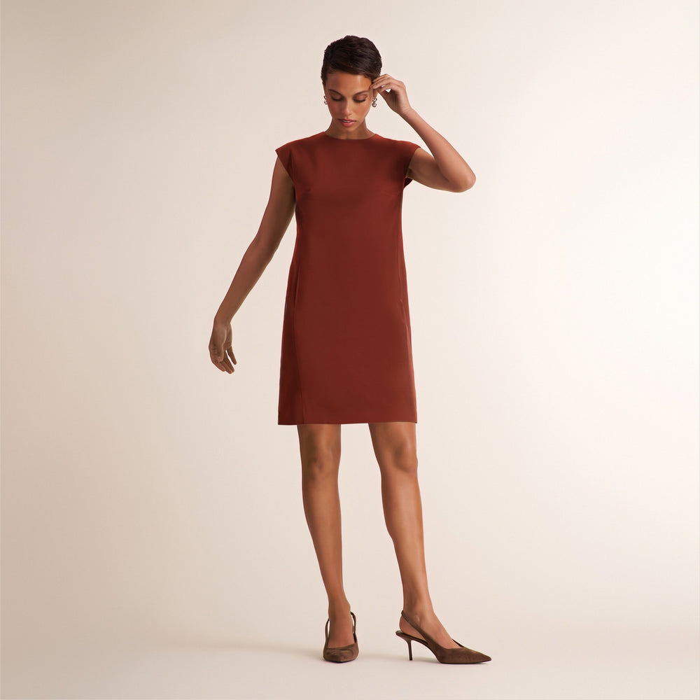 A woman modeling a sleeveless, knee-length rust-brown shift dress with a high neckline, paired with brown pointed-toe heels, against a plain beige studio background.