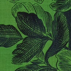 Inoui Editions Scarf 100