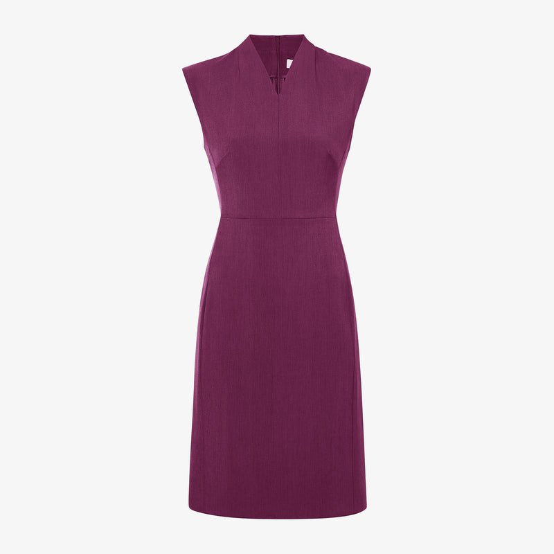 Aditi Dress