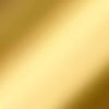 Ashli Belt