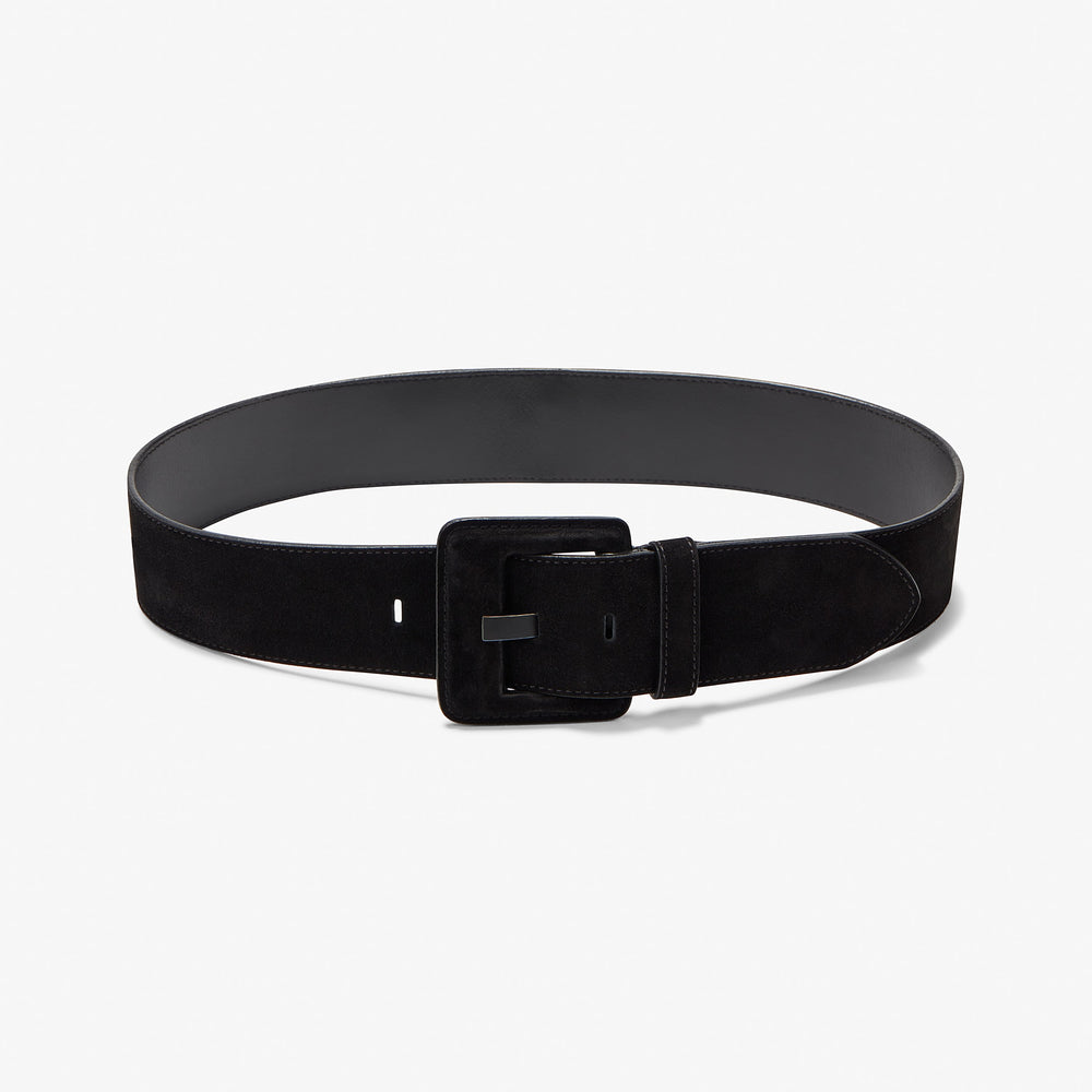 Image of the Sedgwick Belt