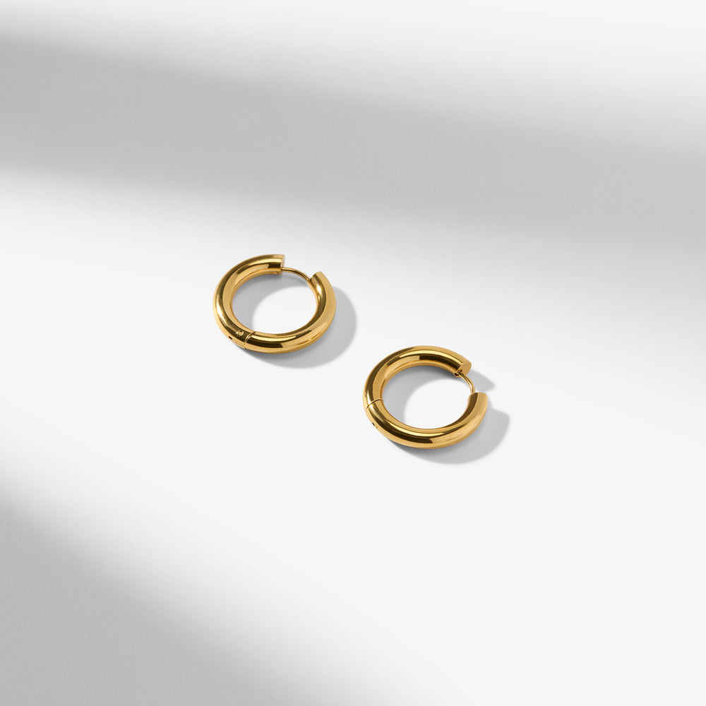 Packshot image of the Claressa Earrings in Gold